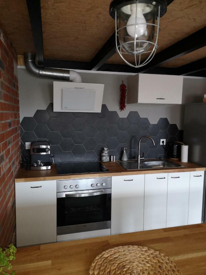 Loftstyle Apartament Zyrardow Exterior foto